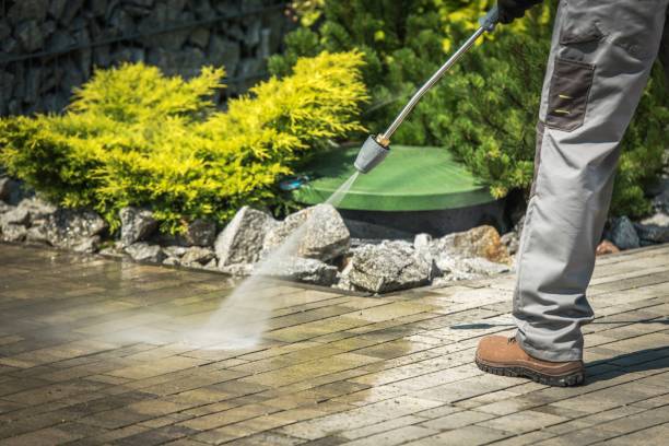 Best Gutter Cleaning  in Nashville, MI