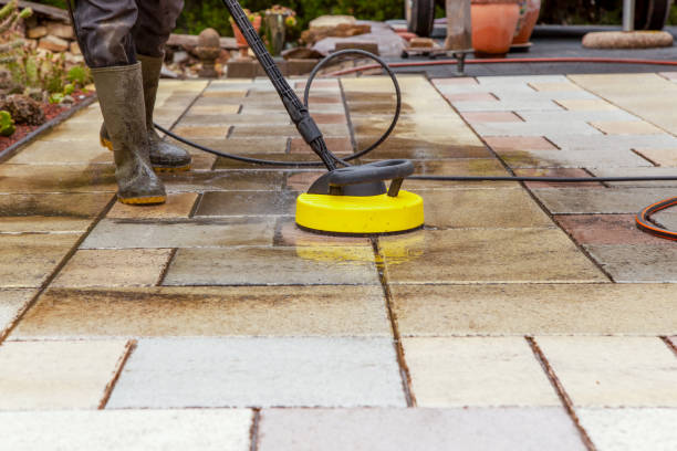 Animal Enclosure Cleaning in Nashville, MI